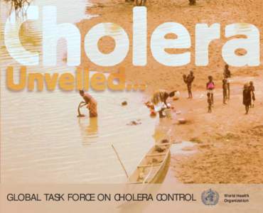 GLOBAL TASK FORCE ON CHOLERA CONTROL  World Health Organization  GLOBAL BURDEN