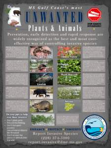 MS Gulf Coast’s most  Plants & Animals • •