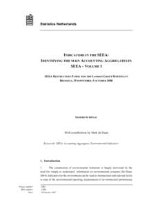 Statistics Netherlands  INDICATORS IN THE SEEA: IDENTIFYING THE MAIN ACCOUNTING AGGREGATES IN SEEA – VOLUME I SEEA RESTRUCTURE PAPER FOR THE LONDON GROUP MEETING IN