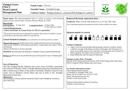 Pampas Grass Class 4 Weed Control Management Plan  Poaceae