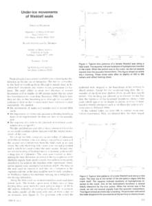 Under-ice movements of Weddell seals DOUGLAS WARTZOK