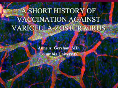 Anne A. Gershon, MD Columbia University VZV infection presents a paradox VZV is highly infectious in vivo.