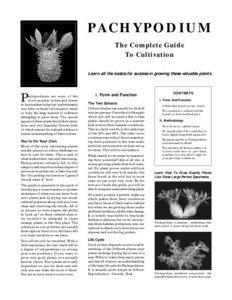 PA C H Y P O D I U M The Complete Guide To Cultivation