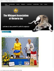 Welcome to the Whippet Association of Victoria, Inc.