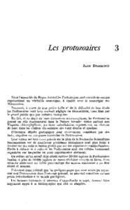 Les protozoaires JEAN DRAGESCO Dans l’ensemble du Règne Animalles Protozoaires sont considérés comme représentantunvéritable sous-règne, Q égalitéavecle