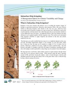 Subsurface Drip Irrigation: A Management Option for Climate Variability and Change Jose Payero and Ahmad Khalilian; Clemson University What is Subsurface Drip Irrigation? Irrigation is the most common and effective way o