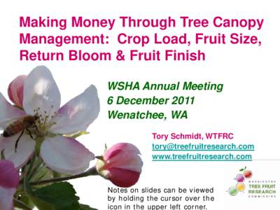 Making Money Through Tree Canopy Management: Crop Load, Fruit Size, Return Bloom & Fruit Finish WSHA Annual Meeting 6 December 2011 Wenatchee, WA