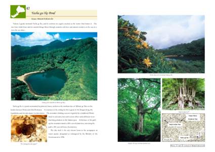 67  Yasha ga Ike Pond Iwaya, Minami Echizen-cho Various legends surround Yasha ga Ike, and its environs are equally mystical as the stories that feature it. The two hour climb from start to summit brings hikers through c
