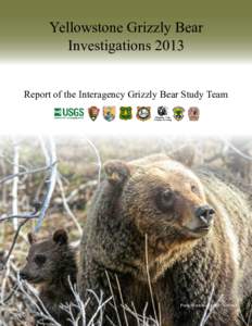 Yellowstone Grizzly Bear Investigations 2013 Report of the Interagency Grizzly Bear Study Team Photo courtesy of Keith Crowley