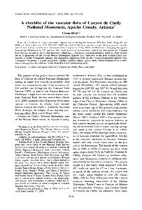 Geography of Arizona / Northern Arizona / Chuska Mountains / Navajo people / Apache County /  Arizona / Glen Canyon / Colorado Plateau / Canyon / Navajo Nation / Arizona / Geography of the United States / Canyon de Chelly National Monument