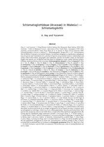 1  Schismatoglottideae (Araceae) in Malesia I —