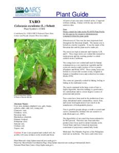 Araceae / Tropical agriculture / Hawaiian cuisine / Leaf vegetables / Taro / Corm / Colocasia esculenta / Poi / Breadfruit / Food and drink / Botany / Staple foods
