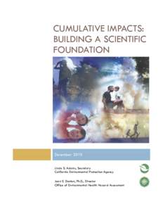 Cumulative Impacts: Building a Scientific Foundation