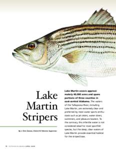 Lake Martin Stripers By J. Chris Greene, District IV Fisheries Supervisor  Lake Martin covers approximately 40,000 acres and spans