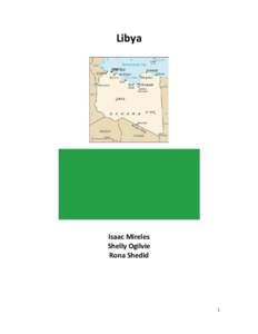 Microsoft Word - Libya Final.docx