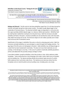 Agricultural pest insects / Whitefly / Silverleaf whitefly / Agriculture / Sooty mold / Institute of Food and Agricultural Sciences / Delphastus pusillus / Leaf curl / Hemiptera / Phyla / Protostome