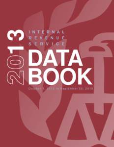 2013 Internal Revenue Service Data Book