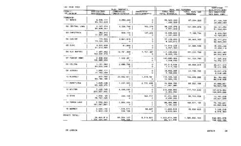 Antrim County Green Book 2004