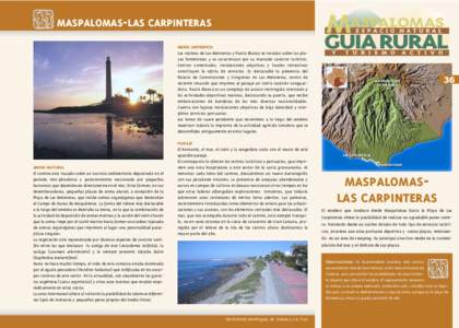 MASPALOMAS-LAS CARPINTERAS MEDIO ANTRÓPICO Los núcleos de Las Meloneras y Pasito Blanco se instalan sobre las playas homónimas y se caracterizan por su marcado carácter turístico.