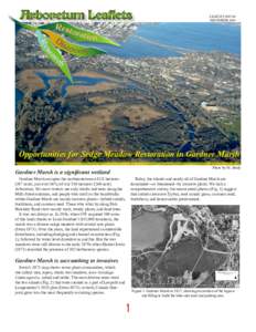 Arboretum Leaflets  LEAFLET[removed]DECEMBER[removed]Opportunities for Sedge Meadow Restoration in Gardner Marsh