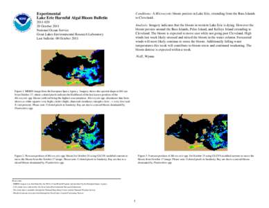 Experimental Lake Erie Harmful Algal Bloom Bulletin Conditions: A Microcystis bloom persists in Lake Erie, extending from the Bass Islands to Cleveland.