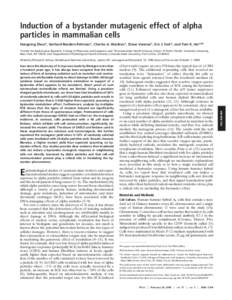 Induction of a bystander mutagenic effect of alpha particles in mammalian cells Hongning Zhou*, Gerhard Randers-Pehrson*, Charles A. Waldren†, Diane Vannais†, Eric J. Hall*, and Tom K. Hei*‡§ *Center for Radiologi