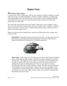 Raptor Facts What Makes a Bird a Raptor. It’s hard to believe that a golden eagle, with a six-foot wingspan, could have anything in common with a fast moving, four inch hummingbird. All birds, even those as different a