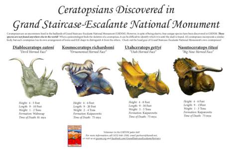 Ceratopsians Discovered in Grand Staircase-Escalante National Monument Ceratopsians are an uncommon fossil in the badlands of Grand Staircase-Escalante National Monument (GSENM). However, in spite of being elusive, four 