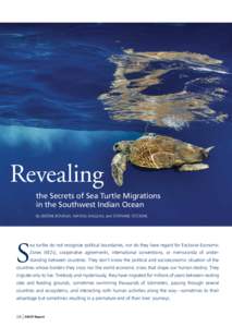 Revealing the Secrets of Sea Turtle Migrations in the Southwest Indian Ocean