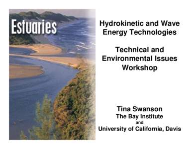Hydrokinetic and Wave Energy Technologies Technical and Environmental Issues Workshop