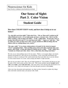 Neuroscience for Kids http://faculty.washington.edu/chudler/neurok.html Our Sense of Sight: Part 3. Color Vision Student Guide
