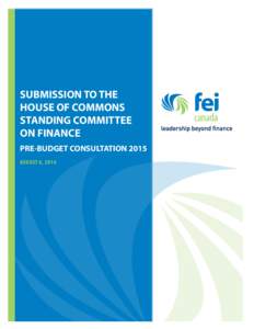 FEI Canada taxsubmission August 2010