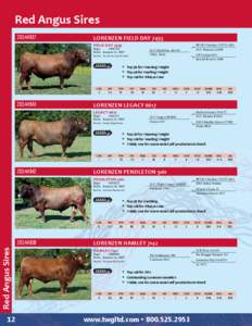 2012 Beef Sires Catalog - Sexing Technologies