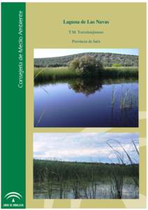 Inventario de Humedales de Andalucía (I.H.A)  Laguna de Las Navas