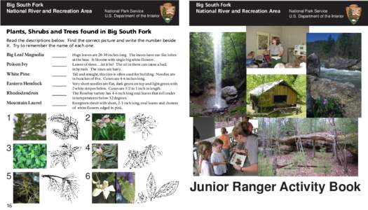 Jr Ranger Book2011 updated