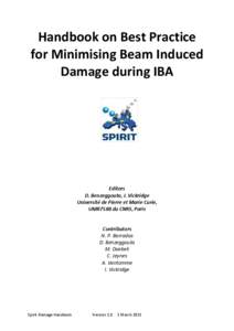 Handbook on Best Practice for Minimising Beam Induced Damage during IBA Editors D. Benzeggouta, I. Vickridge