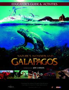 Galápagos Islands / Galapagos shark / Galapagos Penguin / Fernandina Island / Flightless Cormorant / Marine Iguana / Galápagos tortoise / Cromwell Current / Galápagos wildlife / Geology / Volcanism / Volcanology