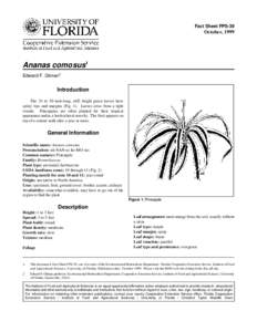 Fact Sheet FPS-39  October, 1999 Ananas comosus1 Edward F. Gilman2