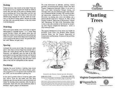 Staking Unless necessary, trees should not be staked. Trees that are top heavy or on an exposed site should be staked to anchor their root balls so the roots can develop rapidly into surrounding sod. Drive three stakes i