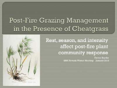 Post-Fire Grazing Management in the Presence of Cheatgrass
