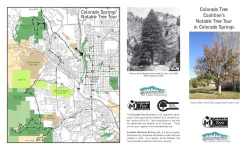 Pikes Peak / Elm / Dutch elm disease / Old Colorado City / Glen Eyrie / William Jackson Palmer / Cheyenne /  Wyoming / Cheyenne people / Outline of Colorado / Colorado / National Register of Historic Places in Colorado / Colorado Springs /  Colorado
