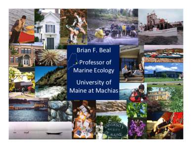 Brian F. Beal Professor of  Marine Ecology University of  Maine at Machias