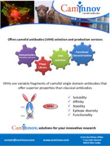 Offers camelid antibodies (VHH) selection and production services  Immunisation Functional Characterization