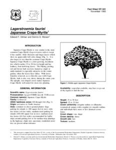 Fact Sheet ST-341 November 1993 Lagerstroemia fauriei Japanese Crape-Myrtle1 Edward F. Gilman and Dennis G. Watson2