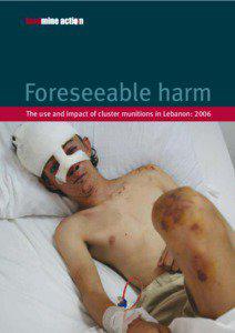 Foreseeable harm The use and impact of cluster munitions in Lebanon: 2006