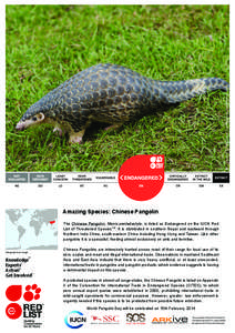 Jason S C Chin Taipei Zoo Program, Cuc Phuong  © Amazing Species: Chinese Pangolin The Chinese Pangolin, Manis pentadactyla, is listed as Endangered on the IUCN Red