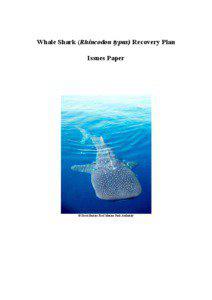 Whale Shark (Rhincodon typus) Recovery Plan Issues Paper