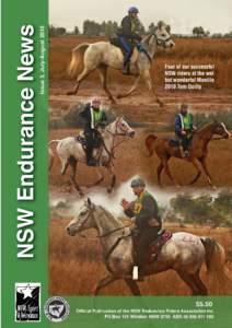 Shahzada / Equestrian sports / Recreation / Equestrianism / Sports / Endurance riding / Quilty