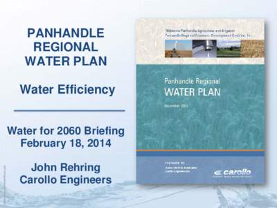 PANHANDLE REGIONAL WATER PLAN Water Efficiency  CarolloTemplateWaterWave.pptx