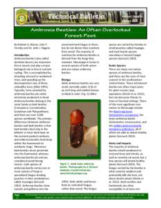 Technical Bulletin  By Nathan A. Blount, John P. Formby and Dr. John J. Riggins. Introduction Ambrosia beetles (also called